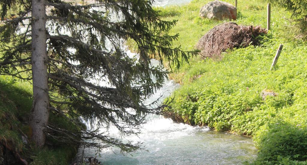 Sonnenhof Preda Hotel Zewnętrze zdjęcie